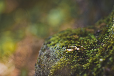 Similar image 21054902