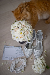 Similar image 21042362