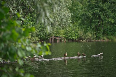 Similar image 21042370