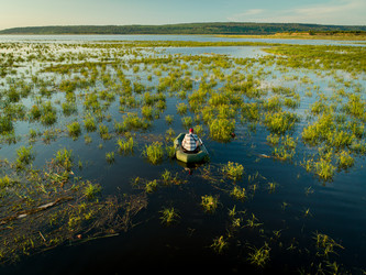 Similar image 21021935