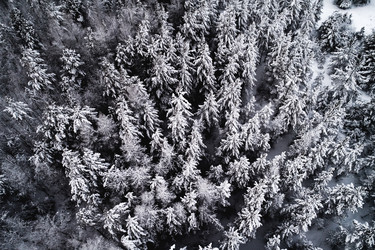 Similar image 21021978