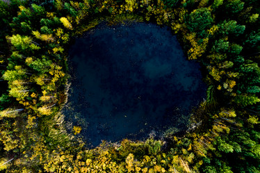 Similar image 21021983