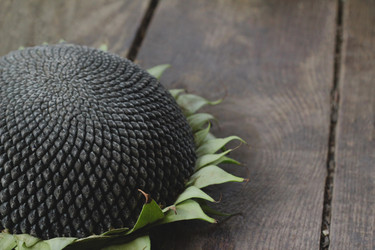 Similar image 21021308