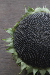 Similar image 21021309