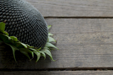 Similar image 21021311