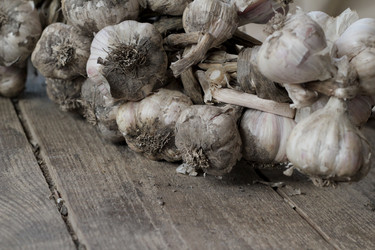 Similar image 21021312