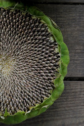 Similar image 21021313