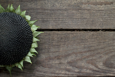 Similar image 21021315