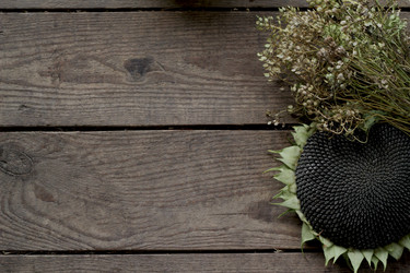 Similar image 21021316