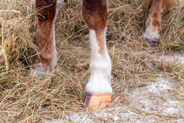 Similar image 21021742