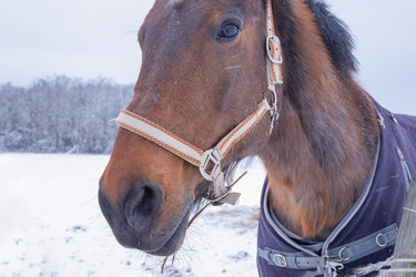 Similar image 21021743