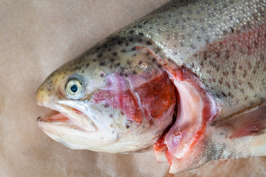 Similar image 21021123