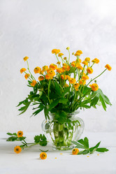 Similar image 21021440