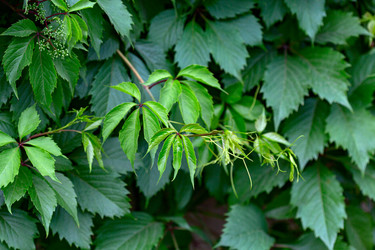 Similar image 21021475