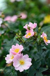 Similar image 21021476