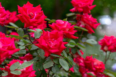 Similar image 21021606