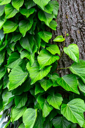 Similar image 21021608