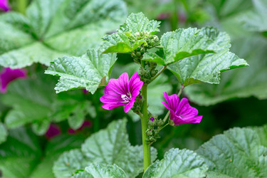 Similar image 21021612