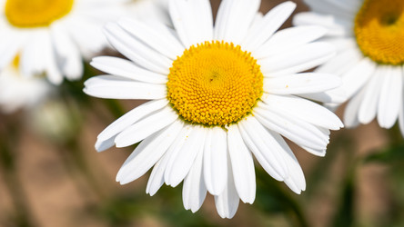 Similar image 21022394