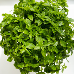 Similar image 21022395