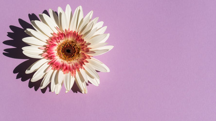 Similar image 21022399