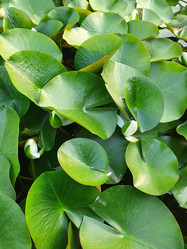 Similar image 21022404