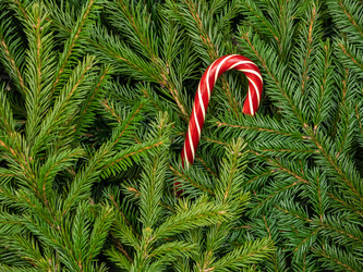 Similar image 21022415