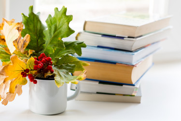 Similar image 21022419