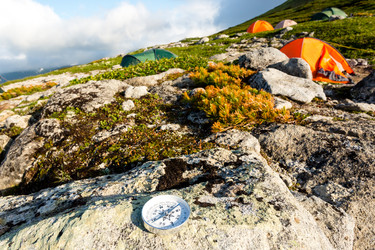 Similar image 21022426