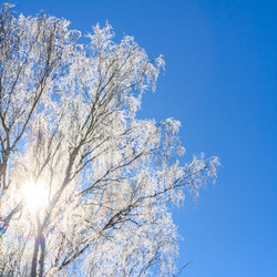 Similar image 21022430