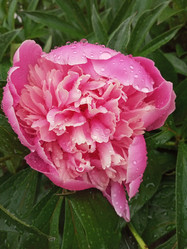 Similar image 21031501