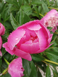 Similar image 21031502