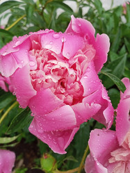 Similar image 21031503