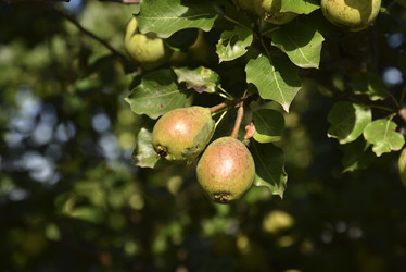 Similar image 21030048