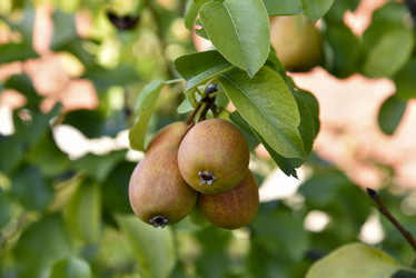 Similar image 21030051