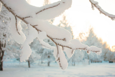 Similar image 21022339