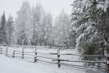 Similar image 21022344