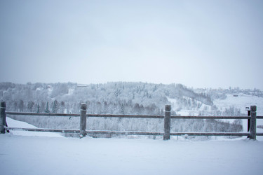 Similar image 21022345