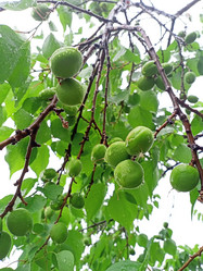 Similar image 21033684