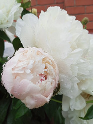 Similar image 21031586