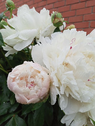 Similar image 21031587