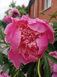 Similar image 21031588