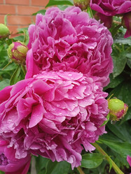 Similar image 21031590