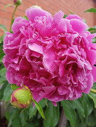 Similar image 21029464