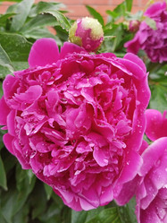 Similar image 21031591