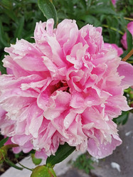 Similar image 21031592