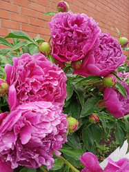 Similar image 21031593