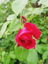 Similar image 21033685