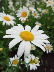 Similar image 21031594