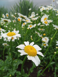 Similar image 21031595